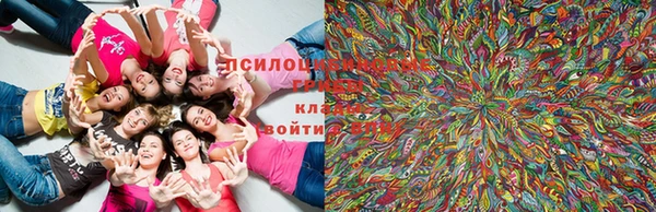 прущие крисы Беломорск