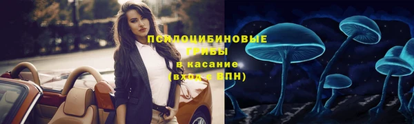 герыч Белокуриха